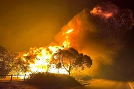 Khói lửa bốc lên từ đám cháy rừng tại Australia. (Ảnh: AFP/TTXVN)