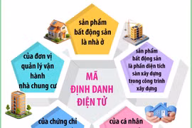 Từ 1/3/2026, bất động sản nhà ở được gắn mã định danh điện tử