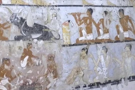 Bức tranh bị đánh cắp là một trong những di sản Ai Cập cổ đại quý hiếm. (Ảnh: AP)