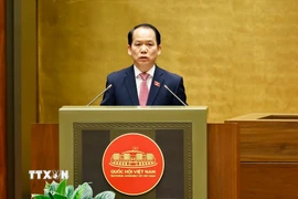 Chủ nhiệm Ủy ban Pháp luật và Tư pháp của Quốc hội Hoàng Thanh Tùng - Đại diện Ủy ban dự thảo sửa đổi, bổ sung một số điều của Hiến pháp năm 2013 trình bày Báo cáo giải trình, tiếp thu ý kiến về sửa đổi, bổ sung một số điều của Hiến pháp năm 2013. (Ảnh: Doãn Tấn/TTXVN)