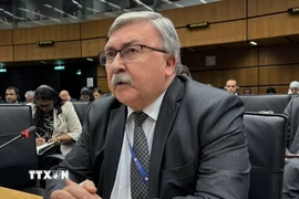 Đại diện thường trực của Nga tại các tổ chức quốc tế ở Vienna, ông Mikhail Ulyanov. (Ảnh: IRNA/TTXVN)