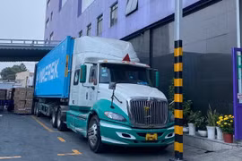 Thiếu tài xế, khoảng 25-30% xe đầu kéo phải nằm bãi