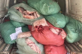 Hà Nội: Phát hiện, tiêu hủy hơn 800kg chân gà bốc mùi chuẩn bị đưa ra thị trường