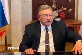 Đại diện thường trực của Nga tại các tổ chức quốc tế ở Vienna (Áo) Mikhail Ulyanov. (Ảnh: IRNA/TTXVN)