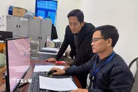 (Ảnh minh họa: TTXVN)