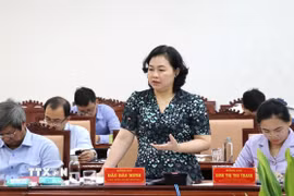 Bà Đào Bảo Minh, Trưởng Ban Nội chính Tỉnh ủy Phú Yên đóng góp ý kiến Văn kiện Đại hội. (Ảnh: Tường Quân/TTXVN)