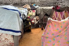 Nơi trú ngụ của người tị nạn ở trại Zamzam, Bắc Darfur, Sudan, ngày 1/8/2024. (Ảnh: Reuters)