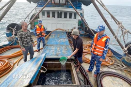 Lực lượng chức năng Bộ Tư lệnh Vùng Cảnh sát biển 4 kiểm tra hàng hóa trên tàu cá TG 92232 TS. (Ảnh: TTXVN phát)