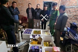 Cơ quan chức năng khám xét nơi cất giữ pháo nổ của đối tượng Phong. (Ảnh: TTXVN phát)