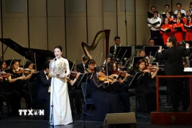 Một tiết mục nghệ thuật tại chương trình. (Ảnh: Phạm Kiên/TTXVN)