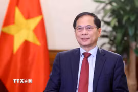 Phó Thủ tướng, Bộ trưởng Ngoại giao Bùi Thanh Sơn. (Ảnh: Phạm Kiên/TTXVN)
