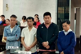 Các bị cáo tại phiên xét xử sơ thẩm. (Ảnh: TTXVN phát)