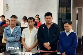 Các bị cáo tại phiên xét xử sơ thẩm. (Ảnh: TTXVN phát)