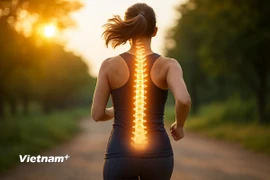 Những gì bạn tiêu thụ đóng vai trò chính trong việc giữ cho cột sống của bạn khỏe mạnh và không bị đau lưng. (Ảnh minh họa: Vietnam+)