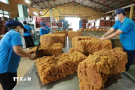 Sản xuất mủ cao su xuất khẩu ở nhà máy của Tập đoàn Công nghiệp Cao su Việt Nam. (Ảnh: Vũ Sinh/TTXVN)