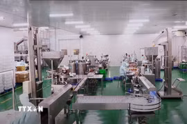 Công ty Cổ phần Chế biến hàng xuất khẩu Long An – LAFOOCO (thuộc Tập đoàn PAN) là doanh nghiệp nhà nước được cổ phần hóa đầu tiên của ngành điều cả nước. (Ảnh: Minh Hưng/TTXVN)