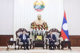 Thủ tướng Chính phủ Lào Sonexay Siphandone (phải) tiếp PGS.TS Đoàn Minh Huấn, Ủy viên Bộ Chính trị, Giám đốc Học viện Chính trị quốc gia Hồ Chí Minh đến chào xã giao. (Ảnh: Xuân Tú/TTXVN)