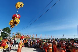 Múa lân tại Phố Ông Lang. Cần Thơ chào mừng du khách dịp Tết Nguyên đán. (Ảnh: Ánh Tuyết/TTXVN)