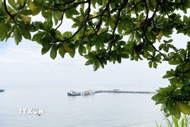 Bờ biển đảo Lý Sơn. (Ảnh: Phạm Cường/TTXVN)