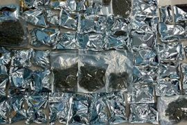 Công an thu giữ khoảng 20kg thảo mộc khô nghi là ma túy cần sa tại nơi ở của các đối tượng. (Ảnh: Công an cung cấp)