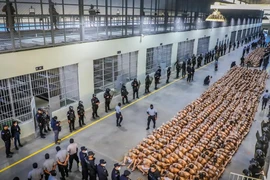 Tù nhân bị giam giữ tại nhà tù Cecot ở Tecoluca, El Salvador ngày 24/2/2023. (Ảnh: Getty Images)