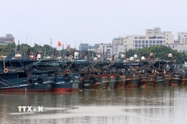 Tàu cá neo tại cảng để tránh bão tại tỉnh Quảng Đông, Trung Quốc. (Ảnh: THX/TTXVN)