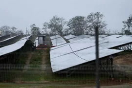 Cuba đã khánh thành một công viên năng lượng mặt trời mới tại thủ đô Havana. (Nguồn: AFP)