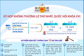 Kỳ họp không thường lệ thứ Nhất, Quốc hội khóa XVI