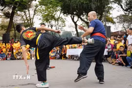 Các tiết mục biểu diễn của các câu lạc bộ võ thuật trên địa bàn Thủ đô. (Ảnh: Minh Đức/TTXVN)