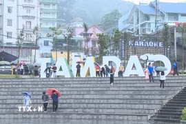 Khu du lịch Tam Đảo ngày càng thu hút đông đảo du khách đến tham quan, nghỉ dưỡng. (Ảnh: Nguyễn Thảo/TTXVN)
