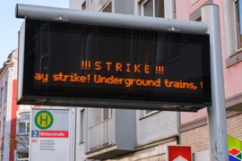 (Ảnh: Shutterstock)