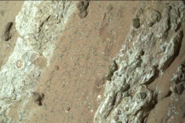 Xe tự hành Perseverance của NASA đã phát hiện ra "những dấu hiệu sinh học tiềm tàng" trên một tảng đá màu đỏ có biệt danh là "Thác Cheyava" trong miệng núi lửa Jezero của sao Hỏa vào tháng 7/2024. (Nguồn: NASA)