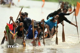 Giải đua ghe ngo mini có 14 người trên 1 ghe. (Ảnh: Duy Khương/TTXVN)