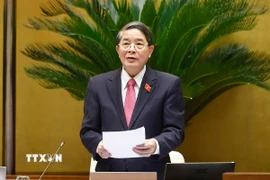 Phó Chủ tịch Quốc hội Nguyễn Đức Hải phát biểu. (Ảnh: Doãn Tấn/TTXVN)