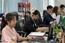 Công chức Thành phố Hồ Chí Minh thành thạo, chuyên nghiệp khi làm việc trên môi trường số. (Ảnh: Hữu Duyên/TTXVN)