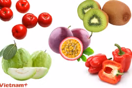 Những loại trái cây giàu vitamin C hơn hẳn cam. (Ảnh: Vietnam+)