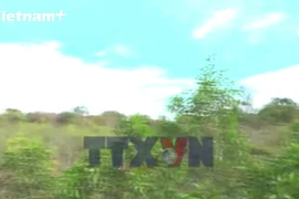 Đồng Nai: Tăng cường tuần tra biên giới đợt cao điểm Đại hội Đảng XIV