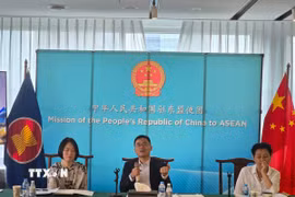 Đại diện Phái đoàn Trung Quốc tại ASEAN tại Diễn đàn. (Ảnh: Lê Minh Hưởng/TTXVN)