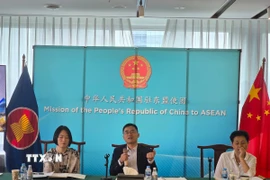 Đại diện Phái đoàn Trung Quốc tại ASEAN tại Diễn đàn. (Ảnh: Lê Minh Hưởng/TTXVN)