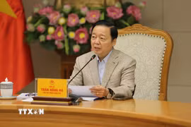 Phó Thủ tướng Trần Hồng Hà phát biểu tại cuộc họp. (Ảnh: Diệp Trương/TTXVN)