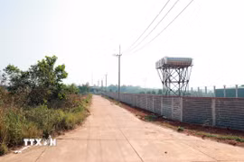 Toàn cụm công nghiệp chỉ có 3 doanh nghiệp hoạt động, phần lớn đất đai bị bỏ hoang, lãng phí. (Ảnh: Hưng Thịnh/TTXVN)