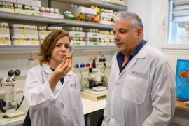 Tiến sỹ Tslil Braun (trái) và Giáo sư Eli Arama trong phòng thí nghiệm. (Nguồn: Viện Weizmann)