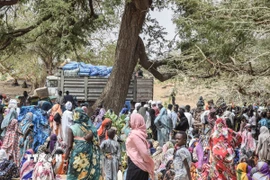 Người tị nạn Sudan nhận hàng cứu trợ tại Koufroun, CH Chad ngày 30/4/2023. (Ảnh: AFP/TTXVN)