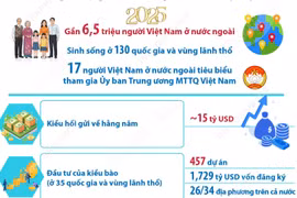 Cộng đồng người Việt Nam ở nước ngoài phát triển mạnh về lượng và chất