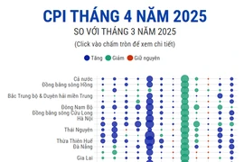 CPI tháng 4 năm 2025: Lạm phát tăng nhẹ 3,05%