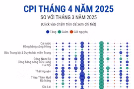CPI tháng 4 năm 2025: Lạm phát tăng nhẹ 3,05%