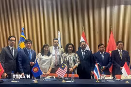 Đại diện Ủy ban Hiệp hội các quốc gia Đông Nam Á tại Mexico (ACMC) và lãnh đạo Đại học Tự trị Quốc gia Mexico (UNAM) chụp ảnh chung. (Ảnh: TTXVN phát)