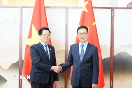 Phó Thủ tướng Mai Văn Chính (trái) hội kiến Phó Chủ tịch nước Trung Quốc Hàn Chính. (Ảnh: Công Tuyên/TTXVN)