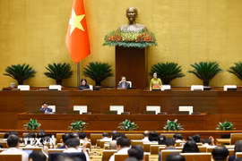 Phó Chủ tịch Quốc hội Nguyễn Thị Thanh điều hành phiên họp. (Ảnh: Doãn Tấn/TTXVN)