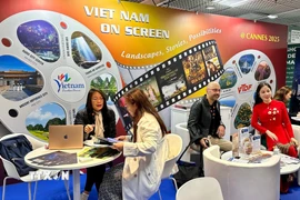 Các đối tác trao đổi với các nhà sản xuất phim Việt Nam. (Ảnh: Nguyễn Thu Hà/TTXVN)
